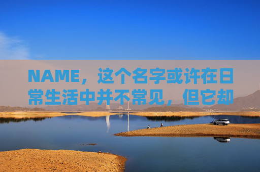NAME,这个名字或许在日常生活中并不常见,但它却在某些领域里扮演着重要的角色。今天,让我们一起来探索这个名字背后的故事和意义